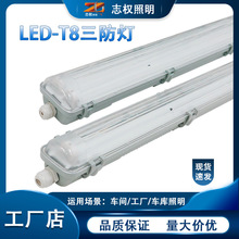 T8������ PS+PS�������⚤�׼����Sֱ�Ӱl؛���������