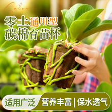 懒人半水培换盆碳棉种植杯蝴蝶兰专用营养土兰科植物合成棉碳棉杯