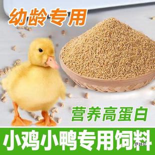 �����С�ZС�S��ι��С�B����С�u�Ե��r�������С���ӼZʳ