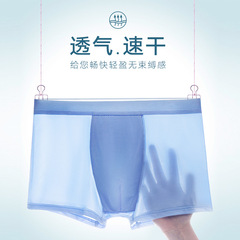 Summer New Men's Ice Silk Invisible Seamless One-Piece Breathable Underpants Men's Short Pants Straight Leg Pants Manufacturer Wholesale