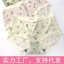 ����Ů��ѝĪ����ƽ�ǰ���ӡ��ʯīϩ�����黨��ѝ1A389/1A390