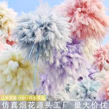 2026�W�t����������JȔ��ë���������b��ð��՟����滨���ٻ�