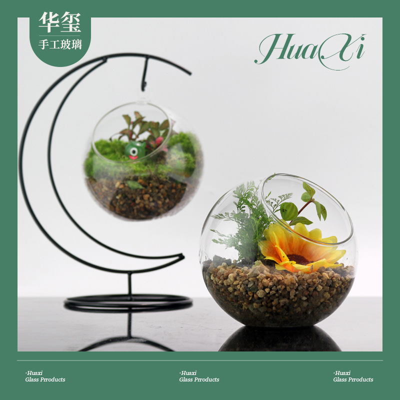 Micro-Landscape Succulent Plant Landscaping Bottle DIY Creative Ecological Bottle Transparent Iron Frame Hanging Oblique Mouth Moss Bottle Hydroponics Micro-Landscape Succulent Plant Landscaping Bottle DIY Creative Ecological Bottle Transparent Iron Frame Hanging Oblique Mouth Moss Bottle Hydroponics