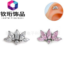 �t��F136⁺Ͻ��S�ڻ������ᔝM�ʯ�����Ʒ��/��/��ᔿ羳�W��