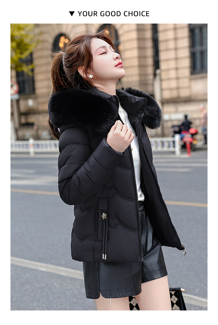 5014_40.jpg