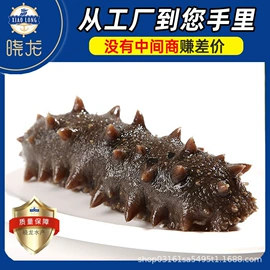 海参;海参即食;干品/即食海参