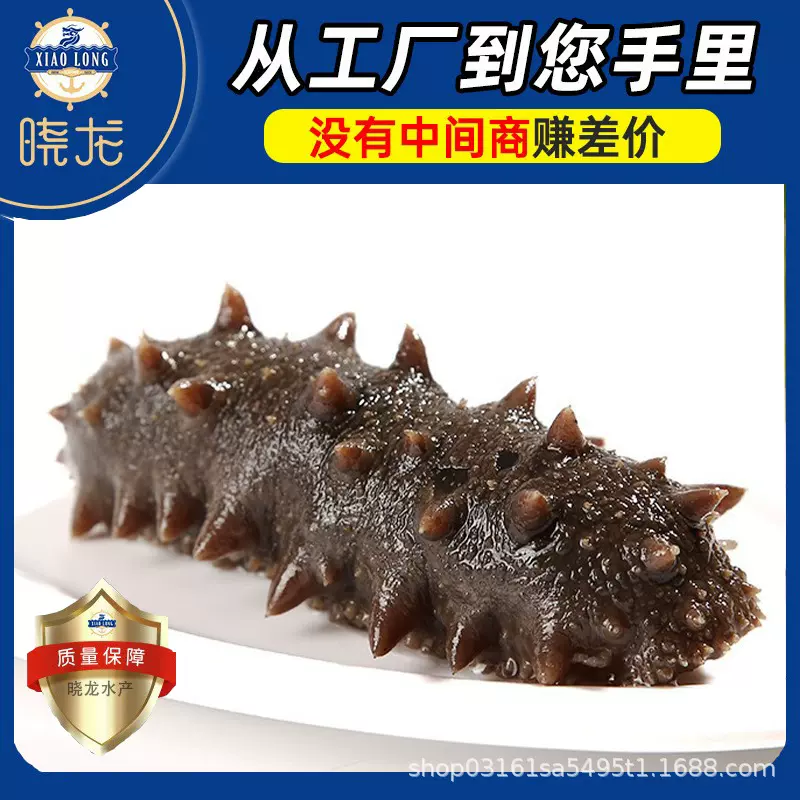 厂家批发海参大连海参野生刺参海参辽刺参非淡干海参鲜活即食海参