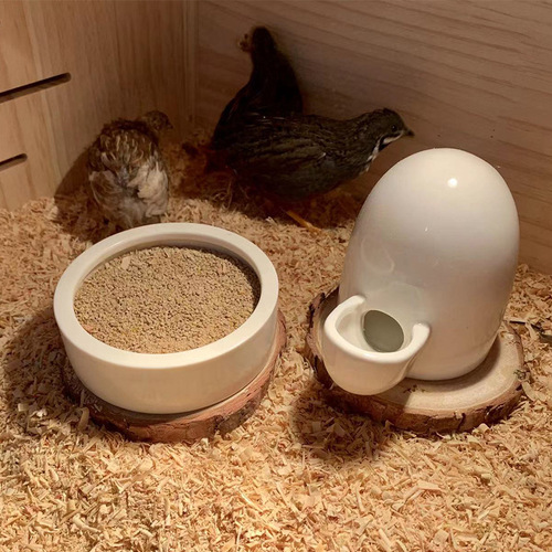 Rutin chicken feeder quail chicks pigeon trough water basin automatic feeding kettle ceramic food basin drinker wholesale