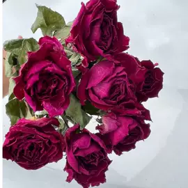 鲜花花艺制品;永生花;干花