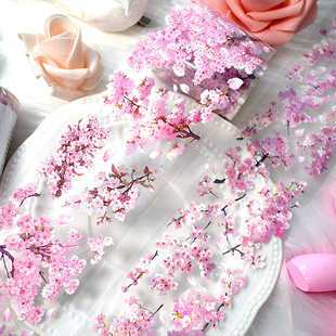 ���٠��滨���b�PET�z�����~ƴ�N�ز�֦�lֲ��ͼ��쾰�֎��z��