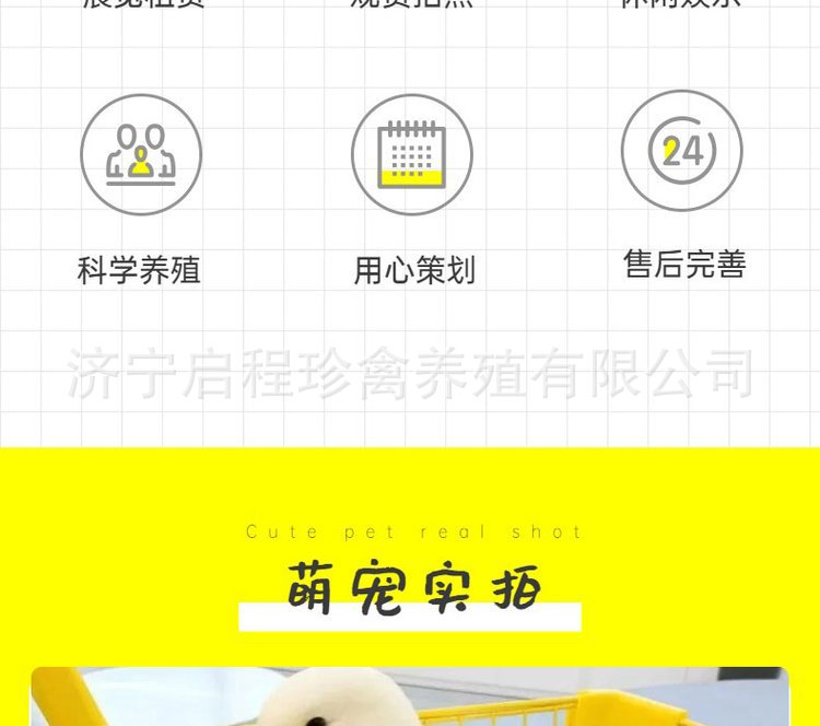 u=1604687591,317661783&