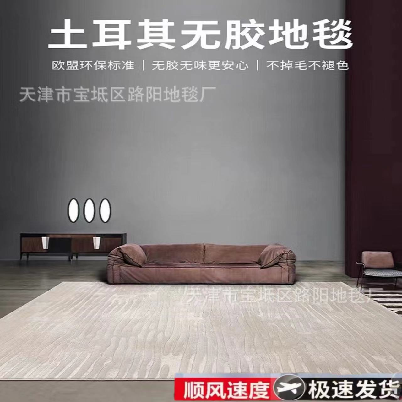 Turkish waterproof rug, luxurious high-end Italian minimalist villa living room Nordic modern minimalist sofa and coffee table mat