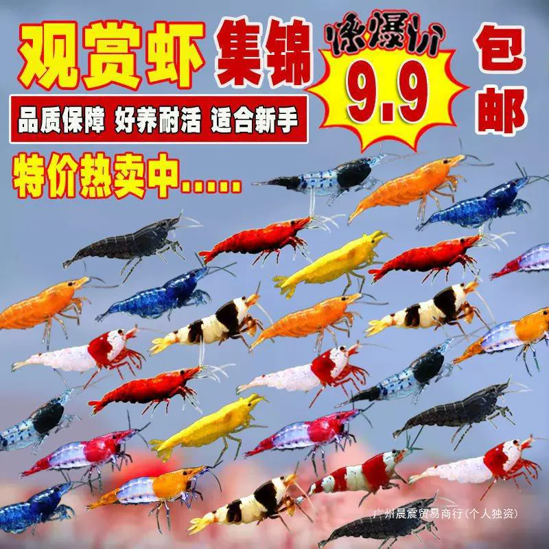Красочные декоративные инструменты для домашних животных, креветки, удаление пресноводных водорослей, креветки для новичков, чрезвычайно популярные креветки, кристаллические креветки, пакет других