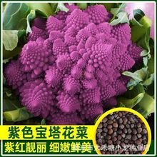 �ό������˷N���_�R��Ҭ�����r�ЙC�ϻ��N�Ӈ��a�����˻��N��ɫ