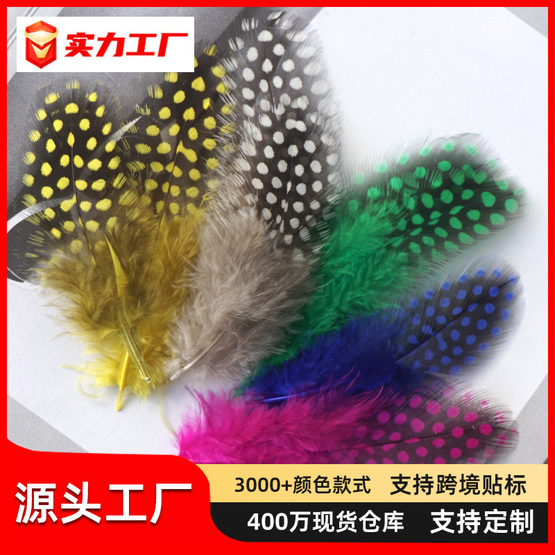 厂家直销珍珠鸡毛圆点羽毛逗猫棒配件彩色波点野鸡毛手工装饰材料