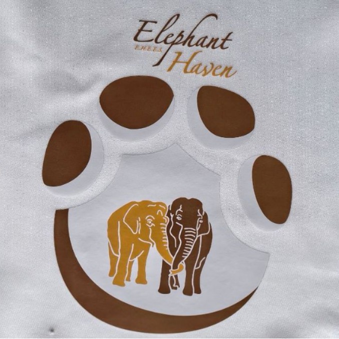 童装烫画 童装热转印 童装烫图 卡通烫画 喜洋洋与灰太狼烫画