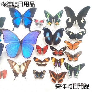 �����չ����Nԭ���s���G�����P���Żҵ����x���x�׃��@����̫��