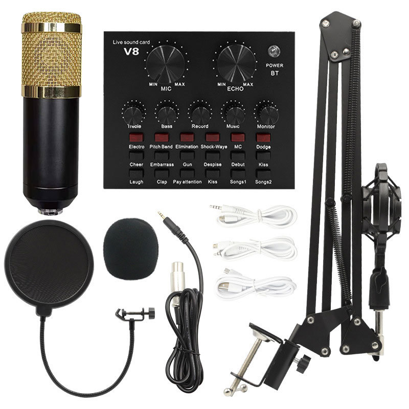 Bm800 Microphone Sound Card Set V82V8S Live Streaming Host Kuaishou Karaoke Computer Microphone Set with Noise Reduction