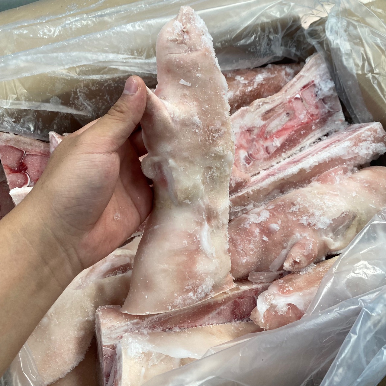 开边猪蹄后蹄猪手对半切开 去筋20斤/件 28片 成都冻品批发整箱