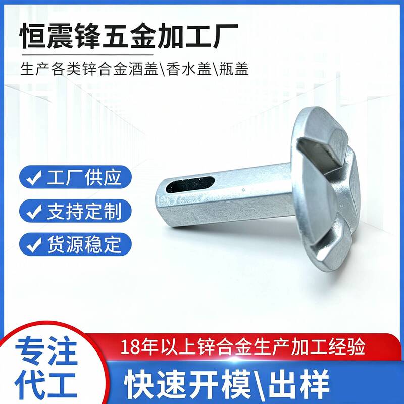 A Manufacturer Specializing in the Production of Zinc Alloy Die-Casting and the Precision Processing of Various Zinc Alloy Parts A Manufacturer Specializing in the Production of Zinc Alloy Die-Casting and the Precision Processing of Various Zinc Alloy Parts
