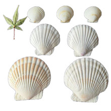 ɫؐdiyLֹTf׃@~Ȼشؐ