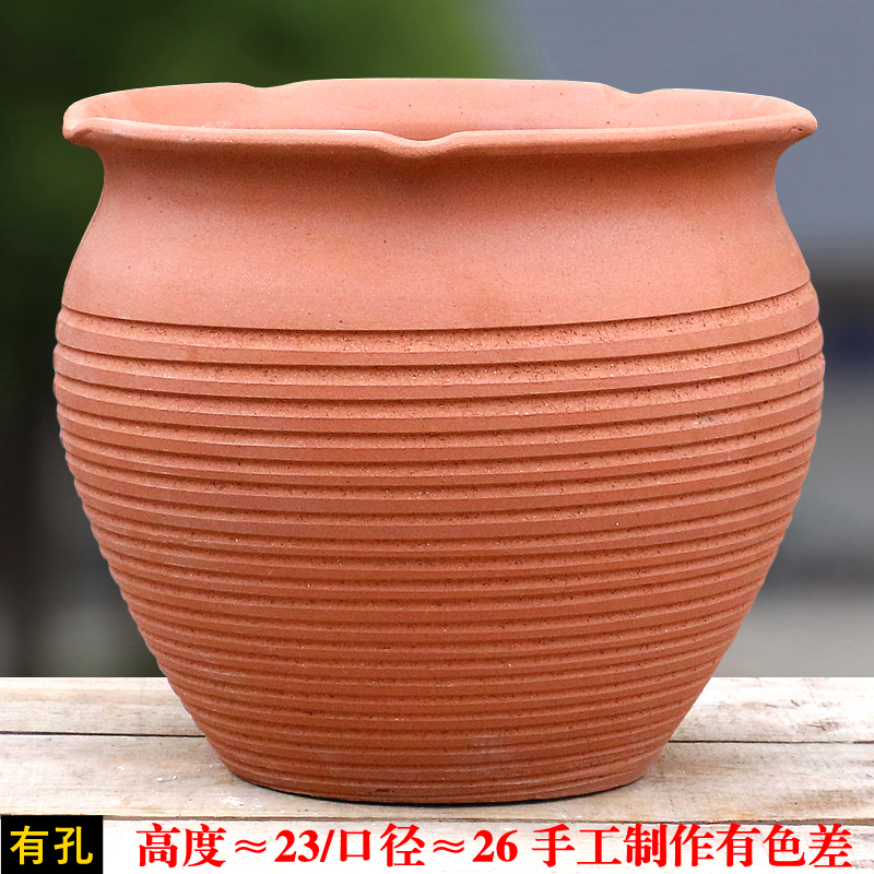 Pot de cerámica de gran altura, cerámica gruesa, planta suculenta, nueve talas de zorro, ciruela triangular, cerámica, maestra, maceta de flores blancas.