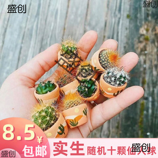 �������ֲ��M���ײ��������Ƕ�С���������_�������S�C�p����