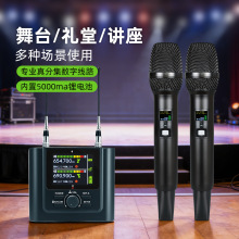 恩平朗声工厂高端专业真分集无线数字麦克风内置电池唱歌通用话筒