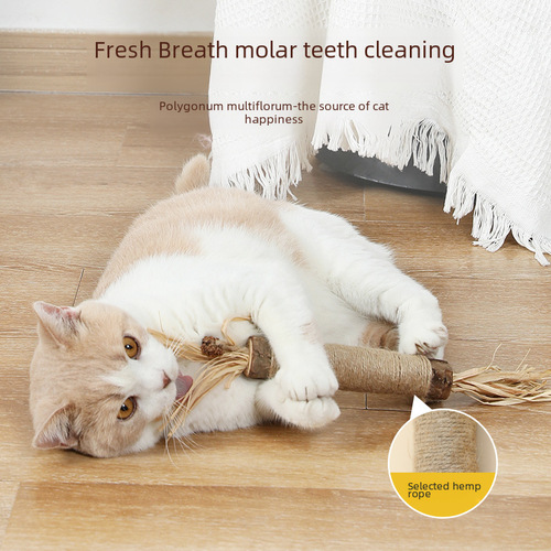 Cat toy self-entertaining boredom relief extra large cat teaser stick catnip ball Hinoki wood baby cat chew toy durable biting cat supplies