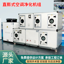恒温恒湿新风机组中央空调直膨式空调机组风冷式空气源热泵机组
