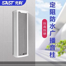 先科大功率定阻双声道功放机蓝牙hifi壁挂音响背景音乐重低音音箱