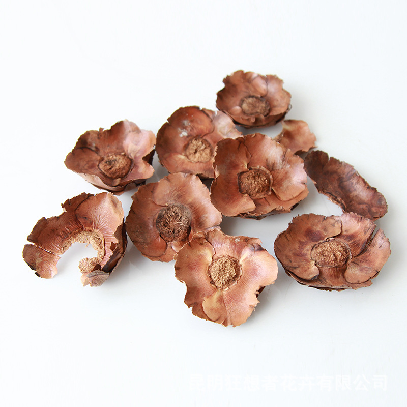 Quả hồng nhỏ (một túi 20g khoảng 6-7 miếng)
