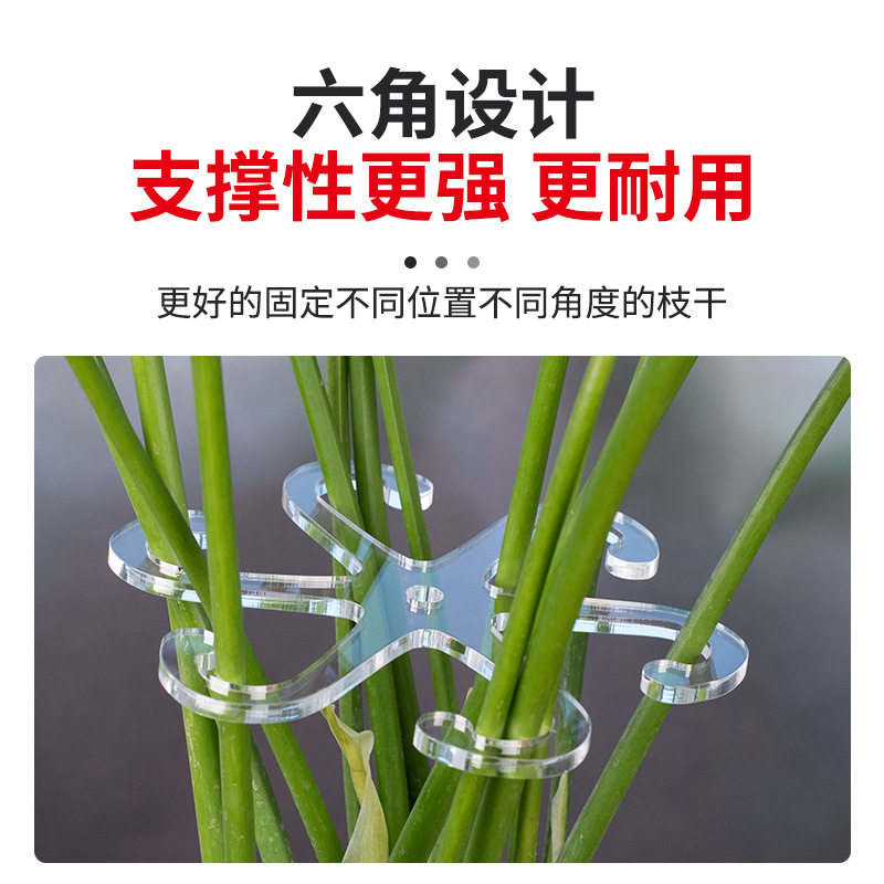 植物枝干收拢器支撑架园艺绿植花卉根茎固定器龟背竹防倒伏神器