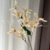 Шампань (гаран лилия)