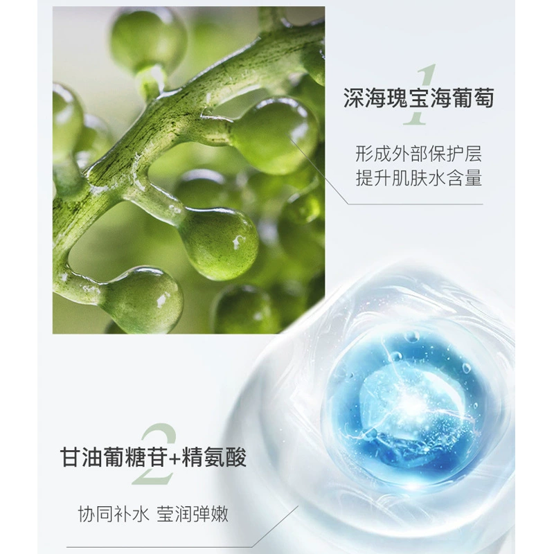 Monolithic face mask, 25 ml, wholesale