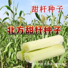 ��������N����U�N�� ����� �J�� ������ �Ǹ����N�� �����֭