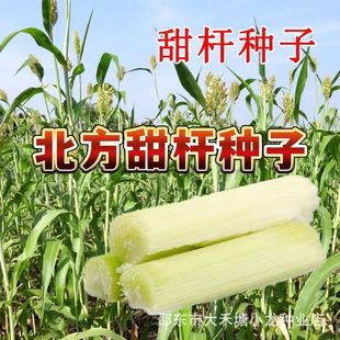 ��������N����U�N�� ����� �J�� ������ �Ǹ����N�� �����֭