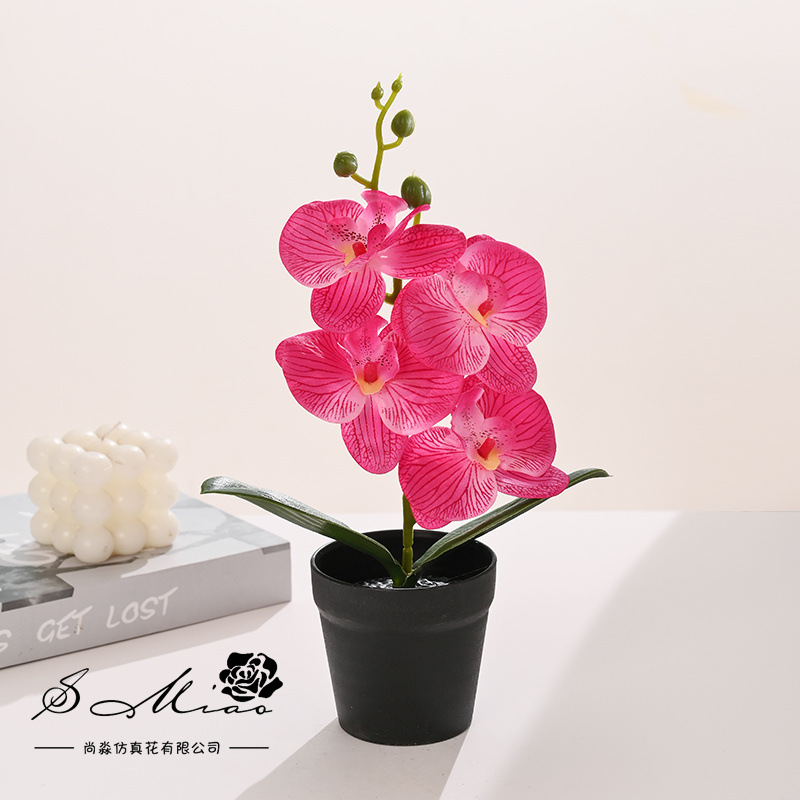 Orquídea Phalaenopsis Artificial en Bonsái, Suministrada Directamente por el Fabricante, Plantas Artificiales Creativas para Decoración de Interiores, Flores Artificiales, Plantas en Maceta Simuladas