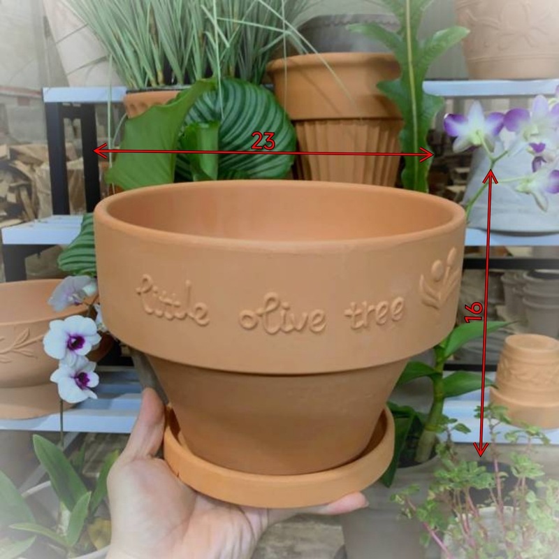 赤い陶器の植木鉢、吸水性、通気性、根腐れしない粘土トレイ、浮遊粘土ポット、大型の緑の植物多肉植物ポット|undefined