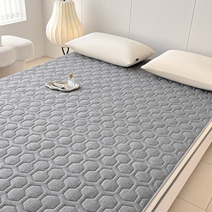 2025 New Type a Knitted Cotton Latex Memory Foam Anti-Pressure Mattress Cushion