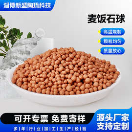 麦饭石陶瓷球麦饭石微量元素球矿化球矿化水矿化滤芯材料矿化滤料