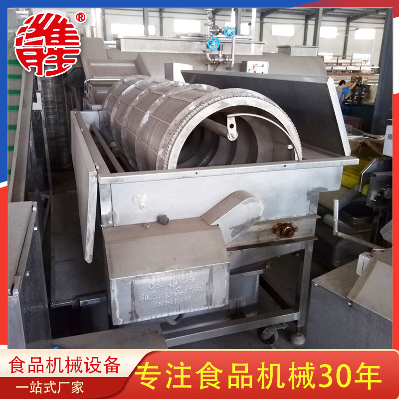 厂家供应全自动日式综合异物去除清洗机 果蔬综合清洗一体机设备