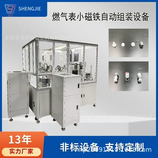 燃气表小磁铁自动装配机非标定制设备大小磁铁组装机