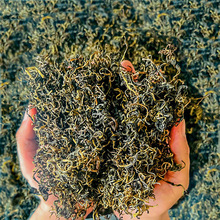 �ѹ�Ӣ�ݲ�500g�ѹ�Ӣ��Ʒ���Ŷ��B�������r�ݻ�ˮ����r�aƷ