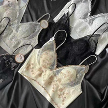 �S��ֱ�N�羳��̖|�ρ�Խ��̩��Ůʿ�o���ٽz�ö����۔n��������