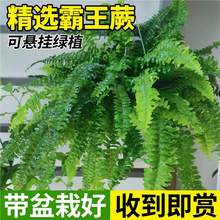 ����ާ���Բ�˹�D�����L���~�����Iާ�͏d�҃����־Gֲާ��컨��