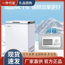 BC/BD-100DT美1菱100升家用商用小型全冷冻冷柜一级能效小冰柜