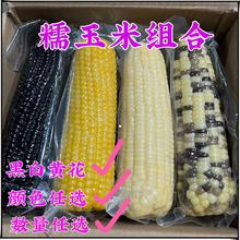 �|��Ŵ���׺�Ŵ��Ŵ�SŴ��Ŵ���׽M���b��հ��bŴ����������l