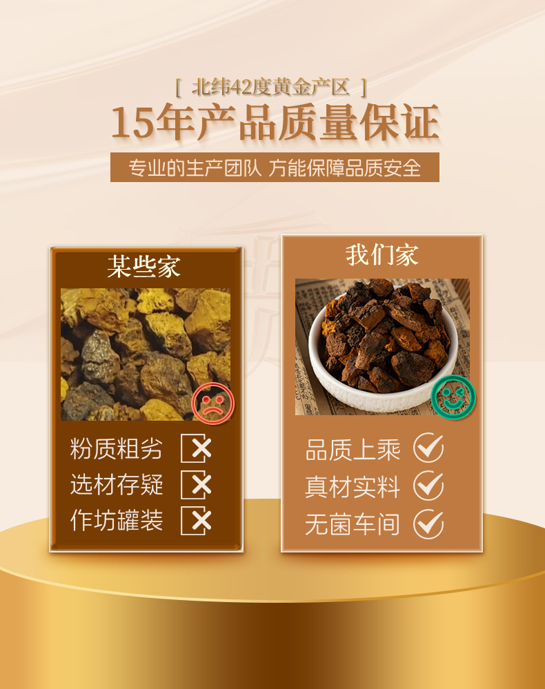 Wild Chaga Mushroom Raw Blocks Bai Hua Rong Sourced from Changbai Mountain 100g quality and texture