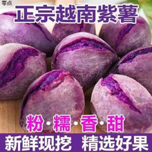 正宗越南珍珠小紫薯新鲜现挖红紫皮番薯地瓜红薯包邮1/35斤亚马逊